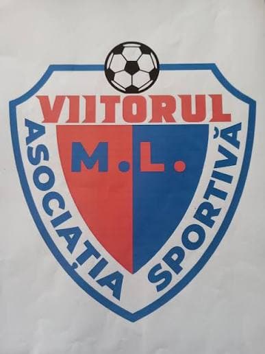 Viitorul ML Pașcani logo
