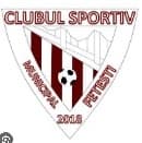 CSM Fetești logo