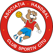 CITU Timișoara logo